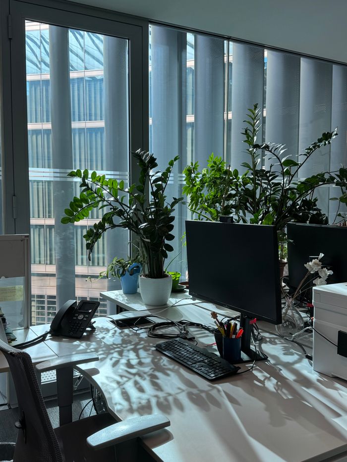 Bright office setup with plants and computers in Milan, Italy with natural light filtering through windows.