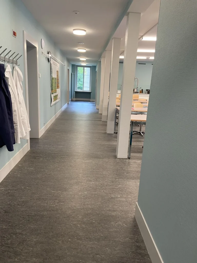 Gereinigter Schulflur der Rudolf-Steiner-Schule an der Plattenstrasse